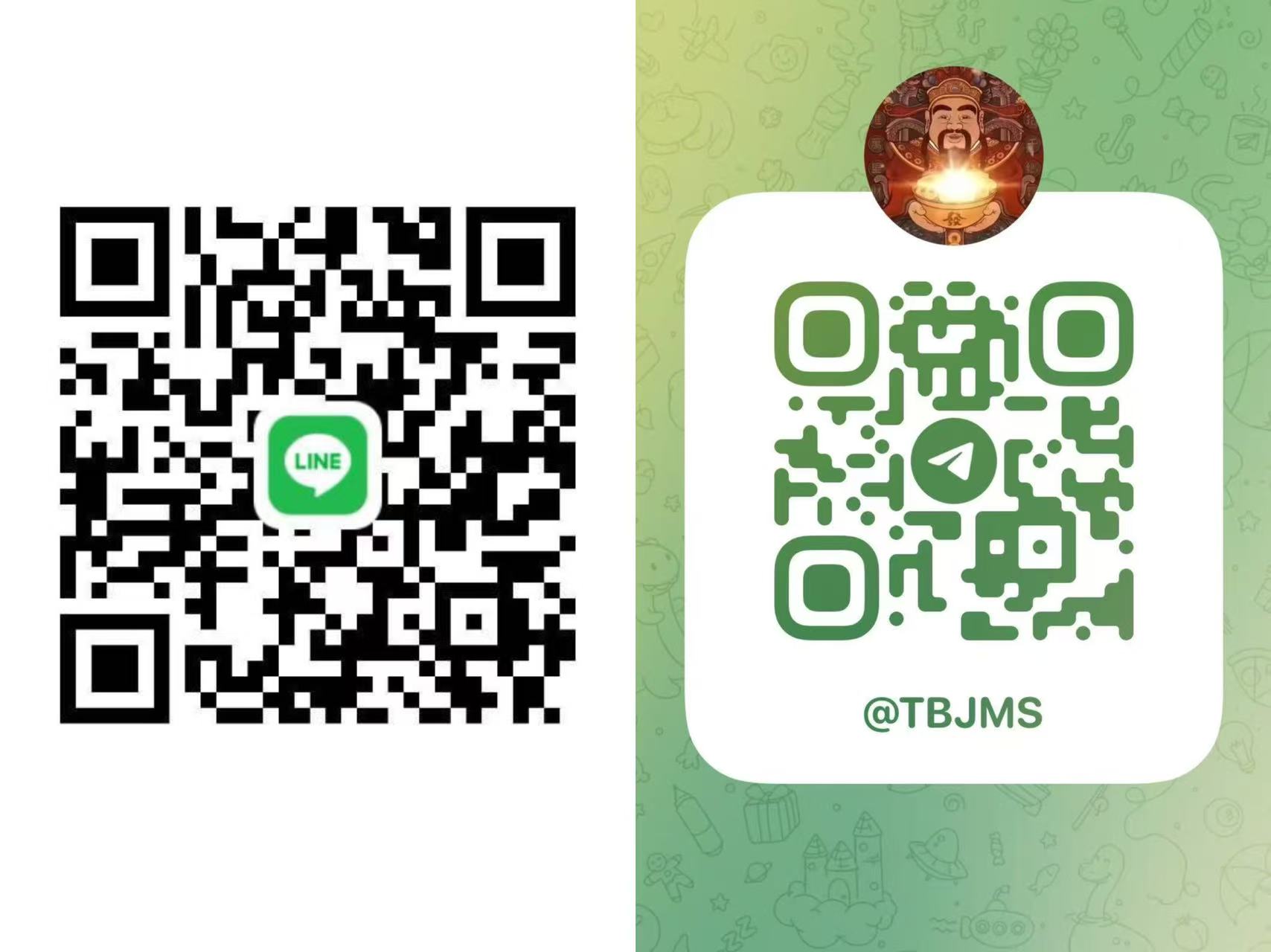 the qr code
